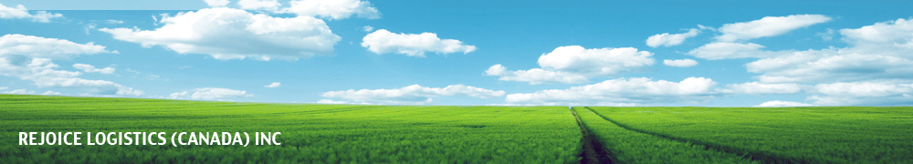 Contact Us Rejoice Logistics Canada